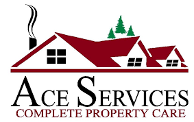 ACE Services